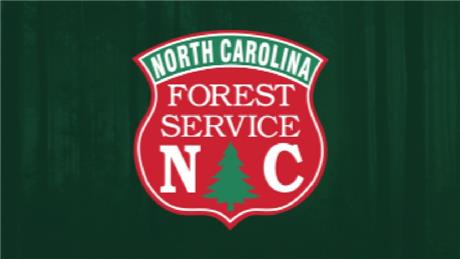 Group Banner Picture